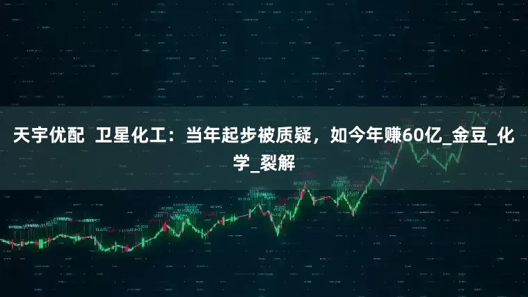 天宇优配  卫星化工：当年起步被质疑，如今年赚60亿_金豆_化学_裂解