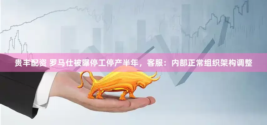 贵丰配资 罗马仕被曝停工停产半年，客服：内部正常组织架构调整
