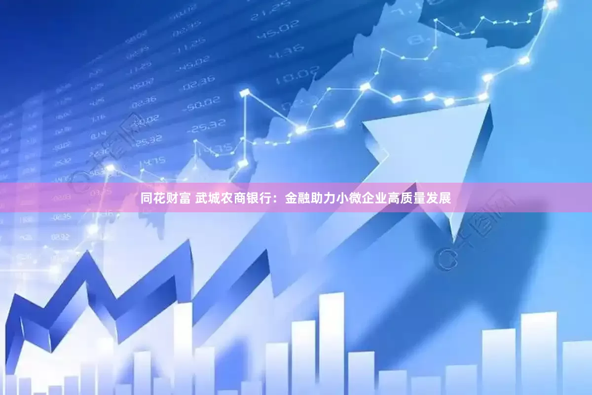同花财富 武城农商银行：金融助力小微企业高质量发展