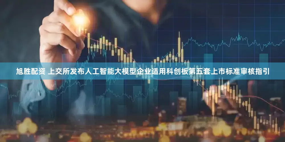 旭胜配资 上交所发布人工智能大模型企业适用科创板第五套上市标准审核指引
