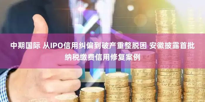中期国际 从IPO信用纠偏到破产重整脱困 安徽披露首批纳税缴费信用修复案例